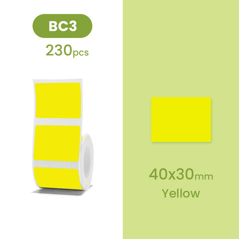 B21 Label - Color