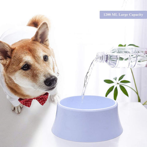 Floating Disk Spill Proof Pets Water Bowl
